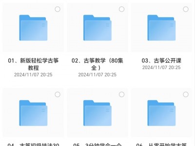 花888买来的乐器教学(包括古筝，电子琴，钢琴，素描绘画)