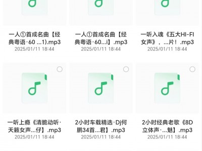 车载音乐 DJ串烧劲爆歌曲三百首