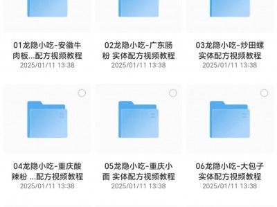 《龙隐小吃街小吃教程大全》[视频教学美食做法][56.8GB][价值上千]