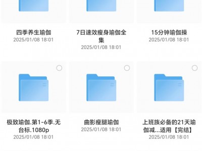 今天刚花999买的11套瑜伽全套课程106G